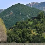 Vik Chile